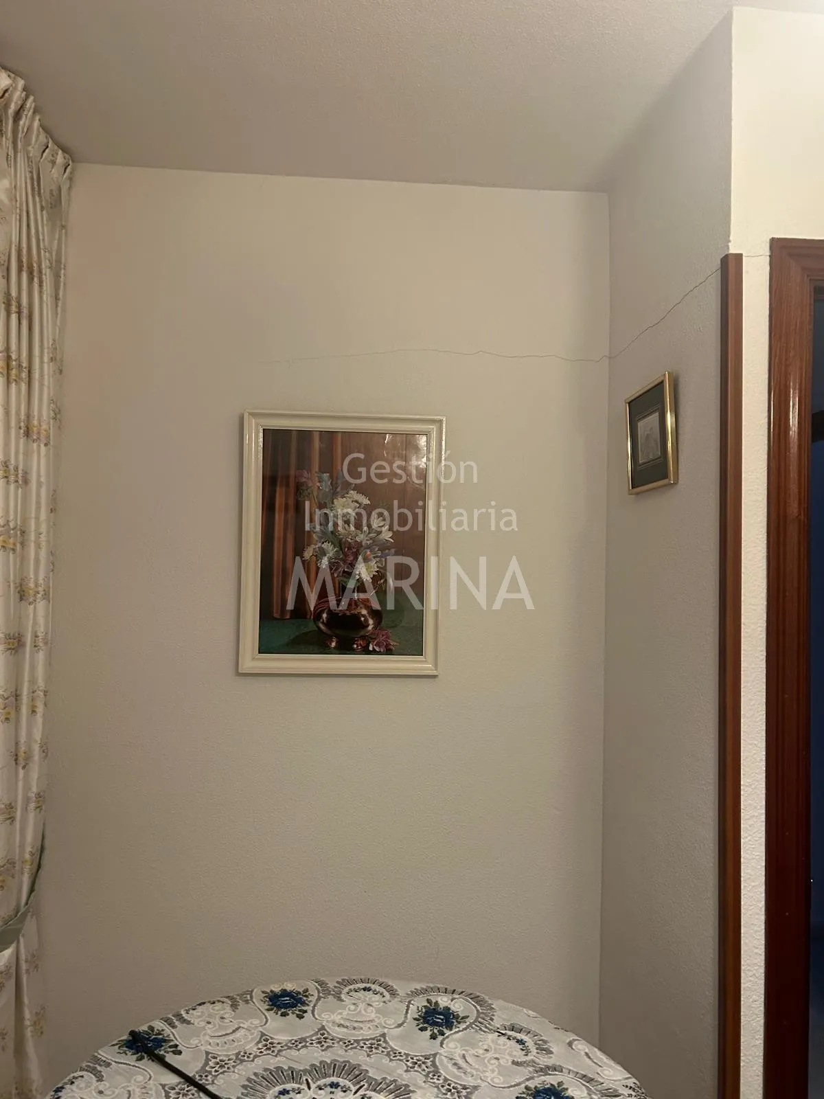 Miniatura 11